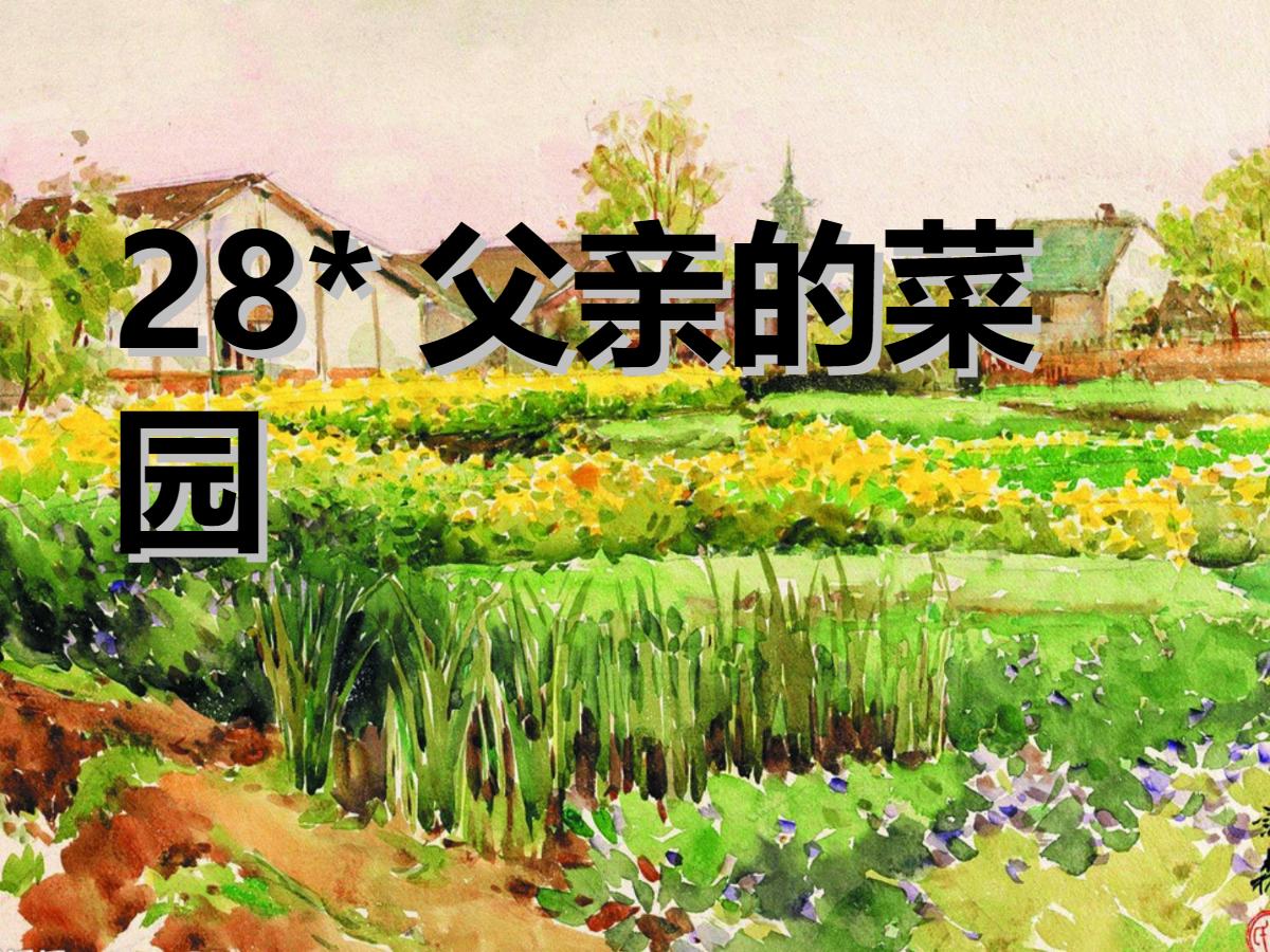 《父亲的菜园》PPT课件4