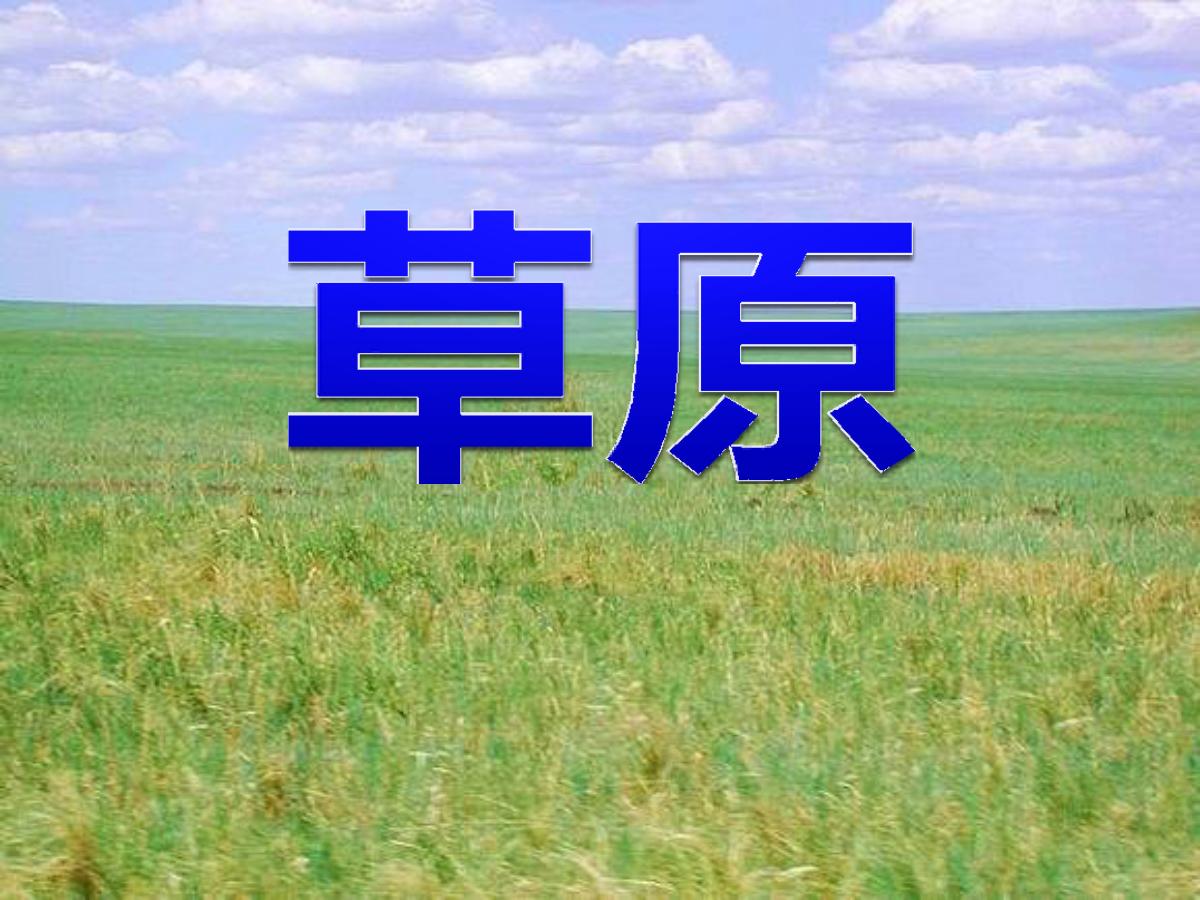 《草原》PPT课件5