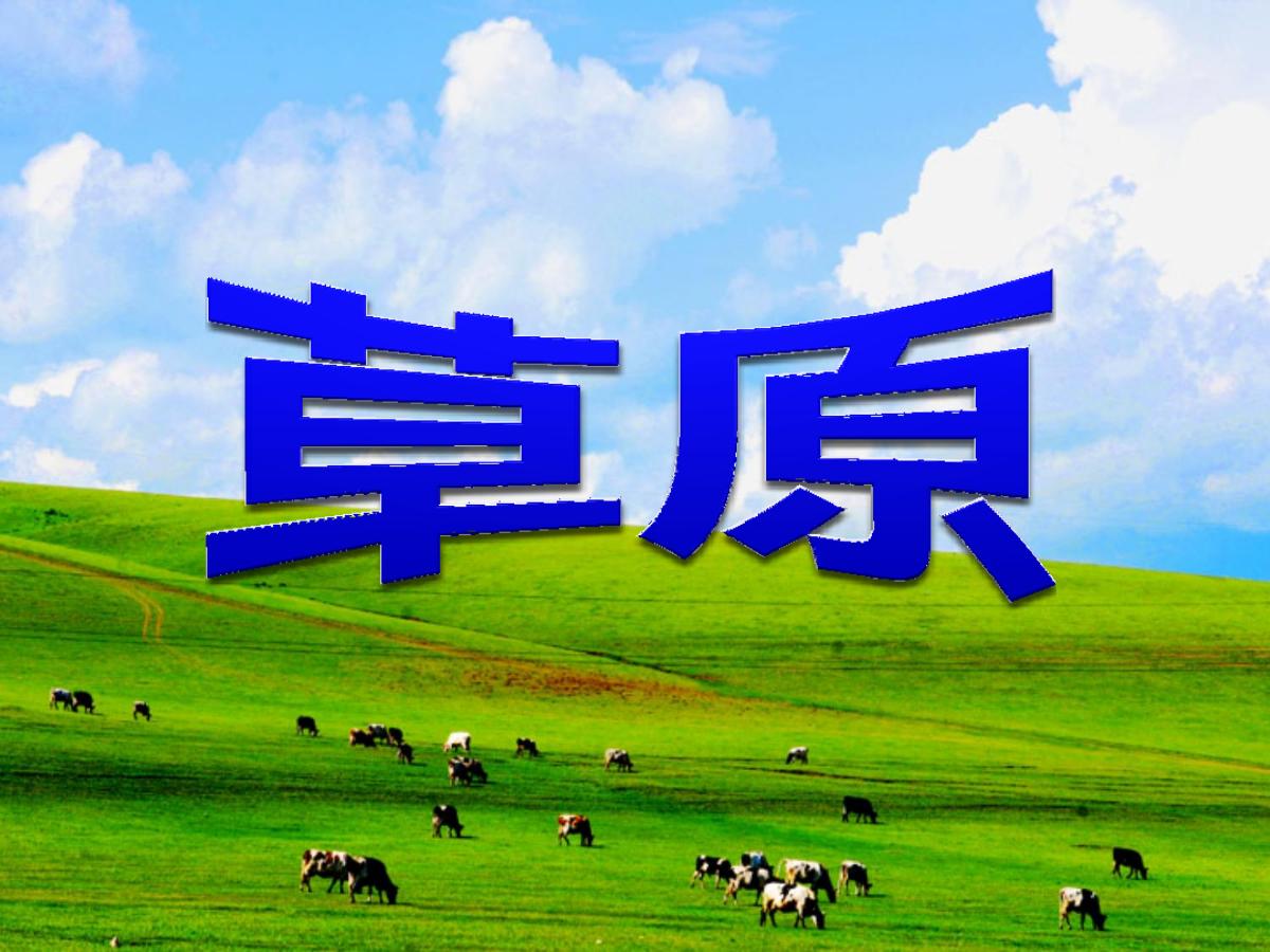 《草原》PPT课件7