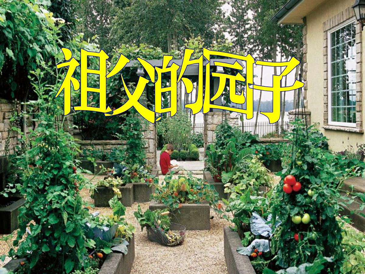 《祖父的园子》PPT课件5