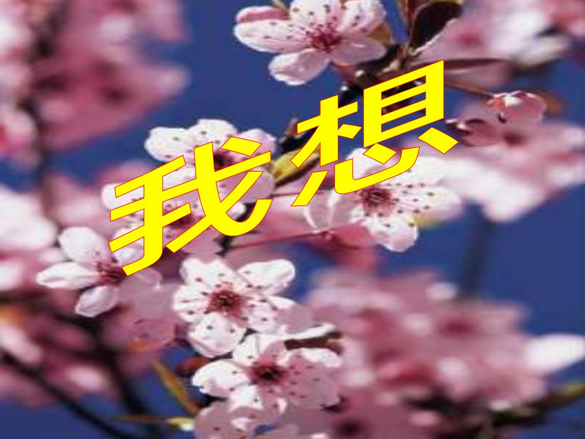 《我想》PPT课件4