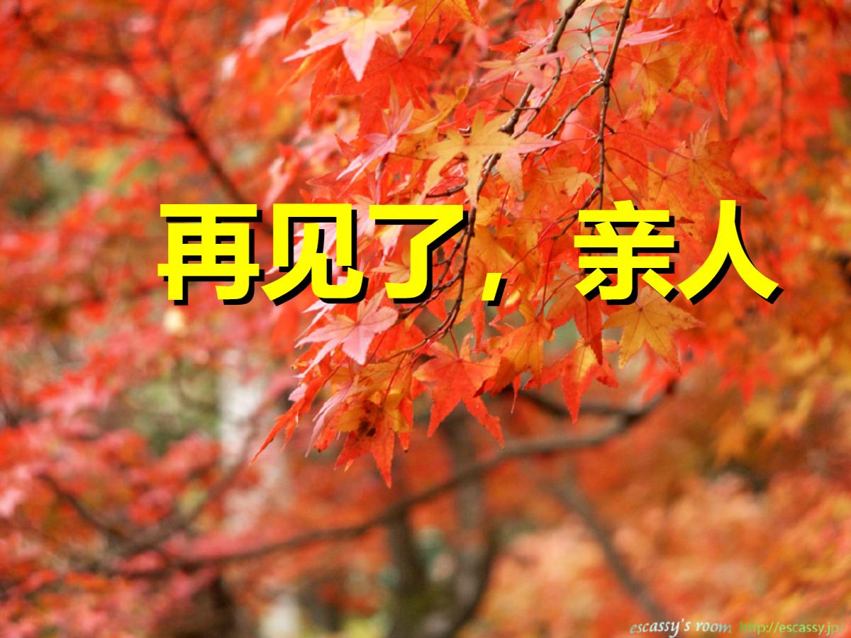 《再见了，亲人》PPT课件5