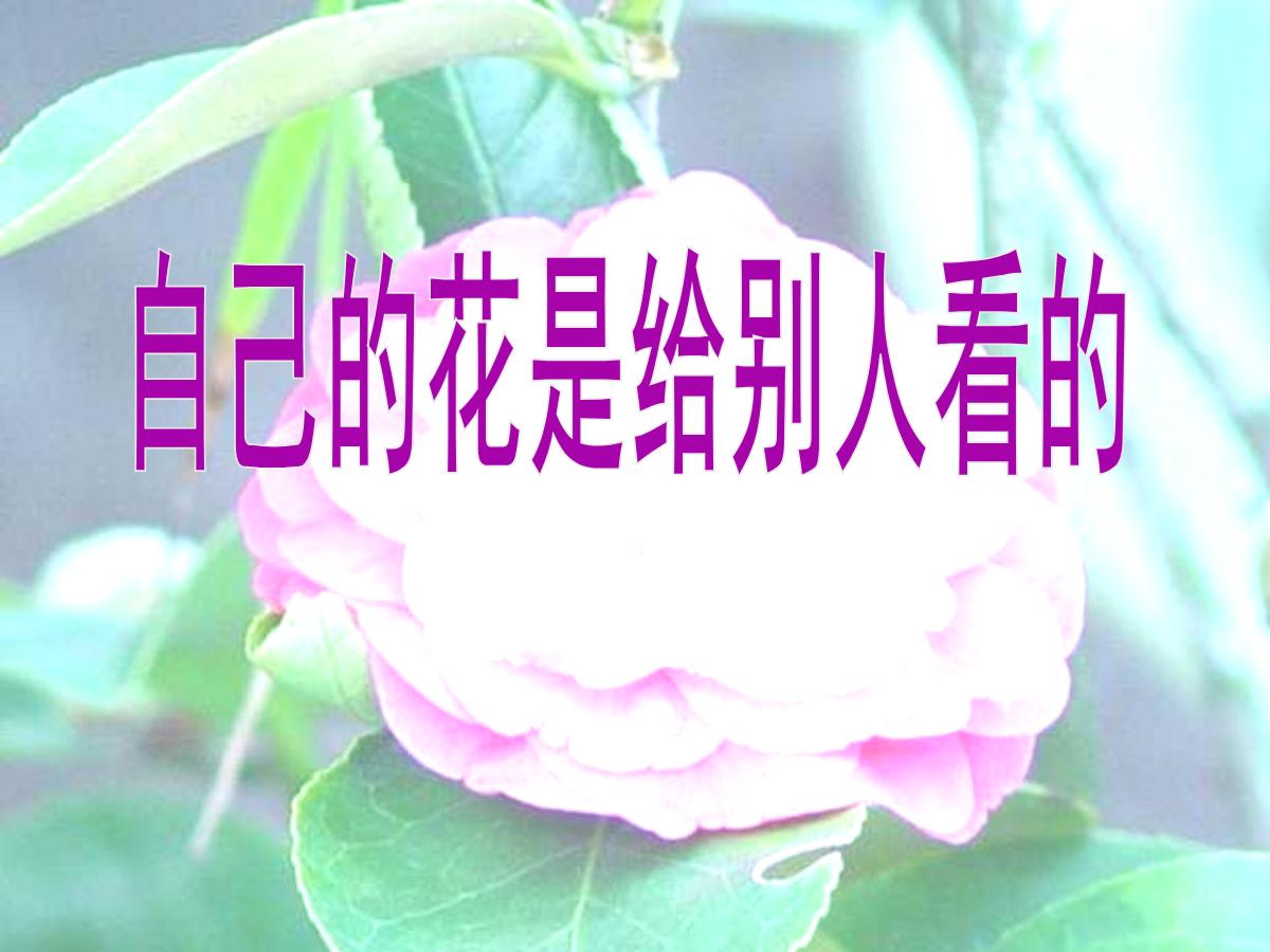 《自己的花是让别人看的》PPT课件