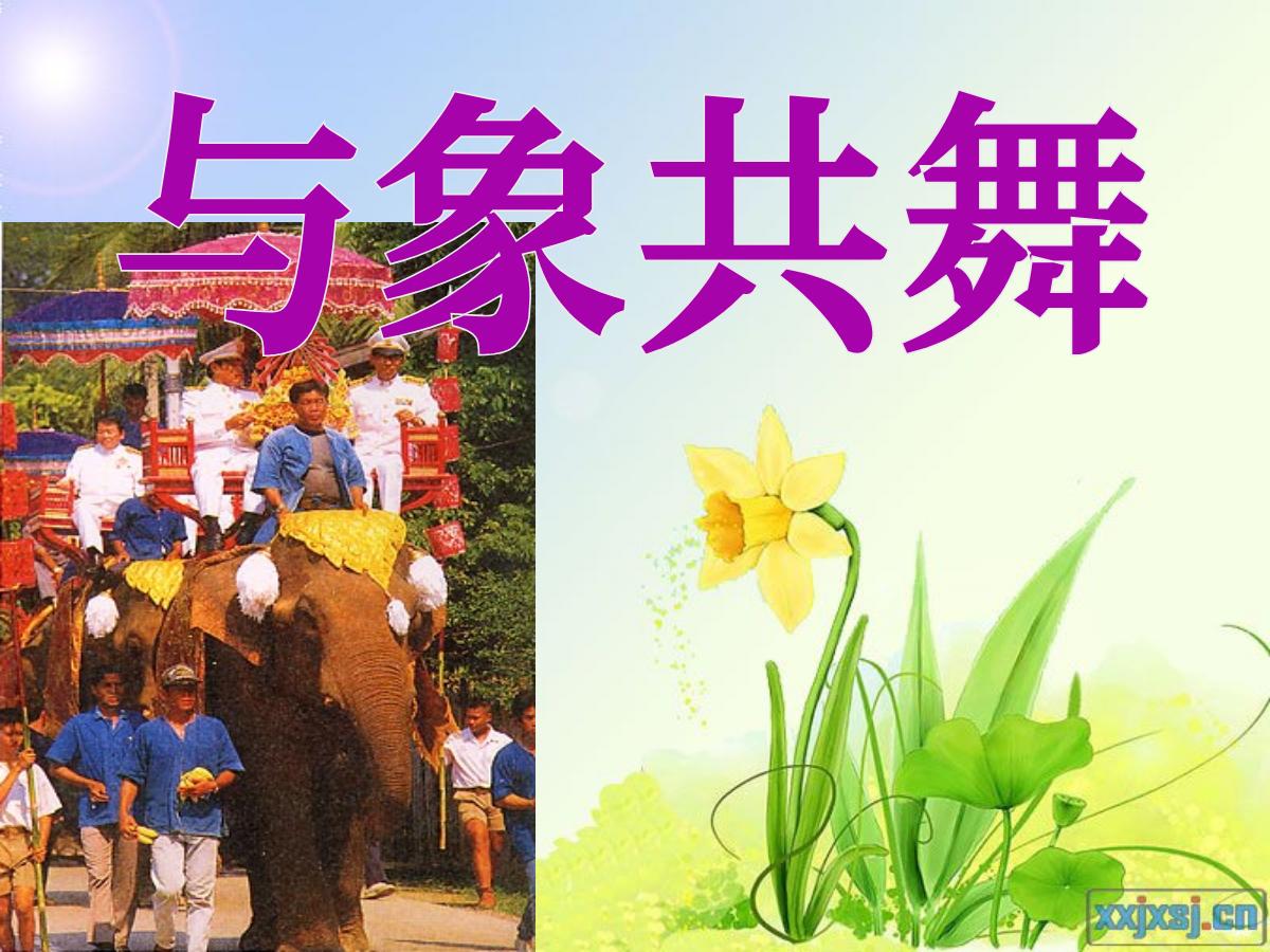 《与象共舞》PPT课件
