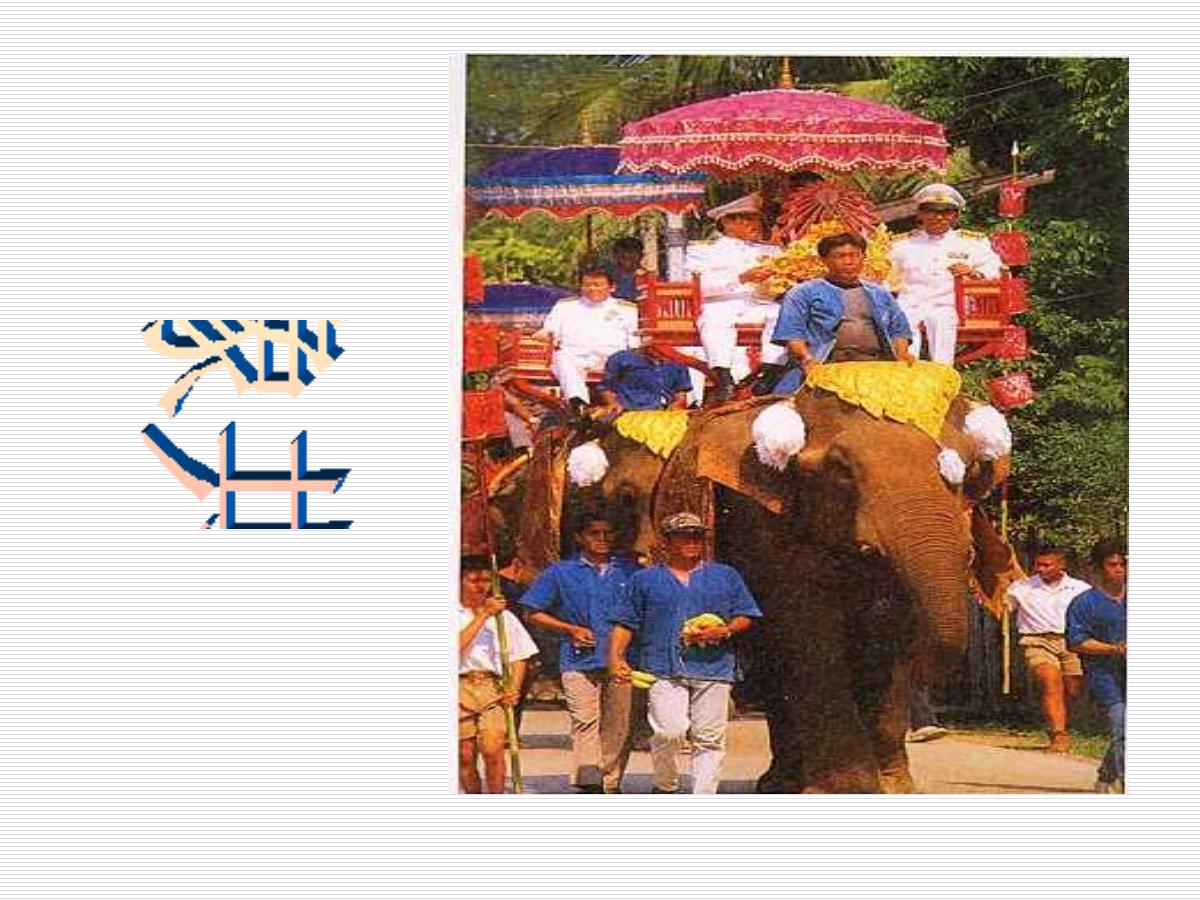 《与象共舞》PPT课件3