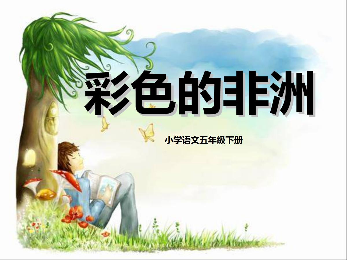 《彩色的非洲》PPT课件5