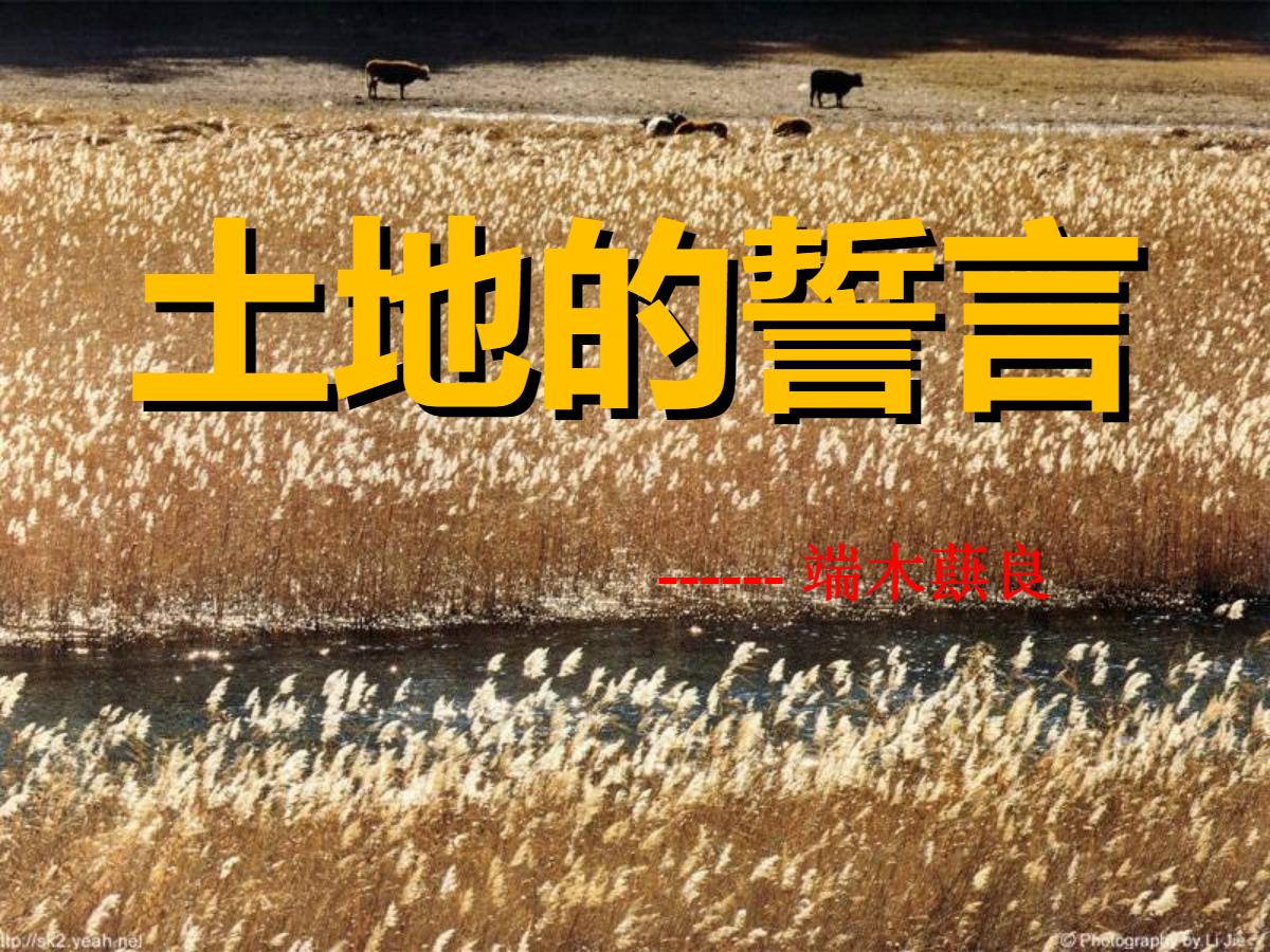 《土地的誓言》PPT课件4