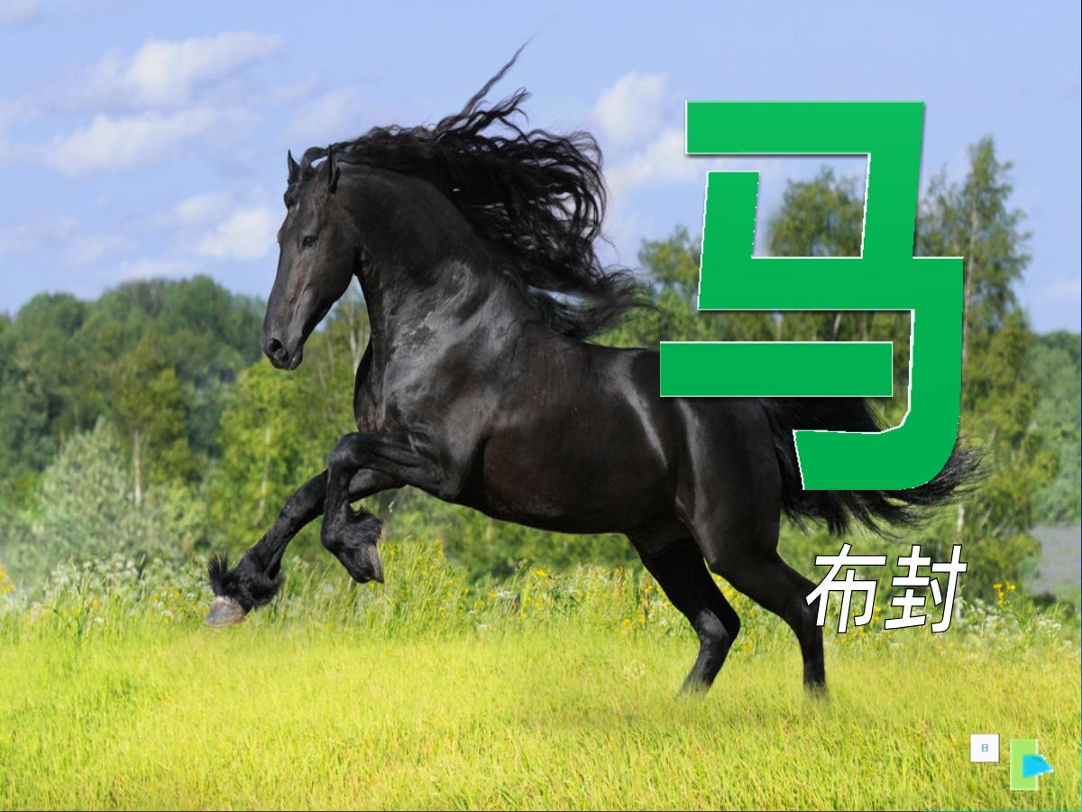 《马》PPT课件