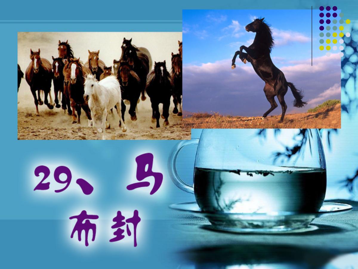 《马》PPT课件5