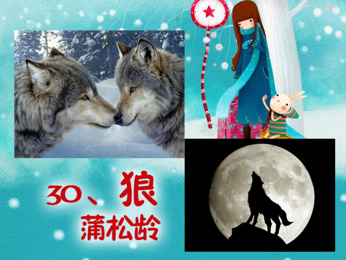 《狼》PPT课件5