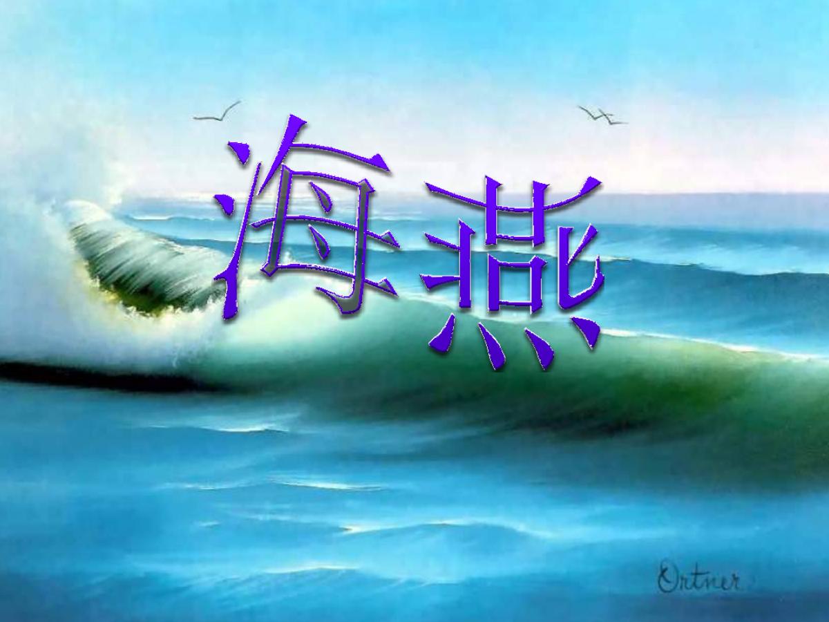 《海燕》PPT课件2