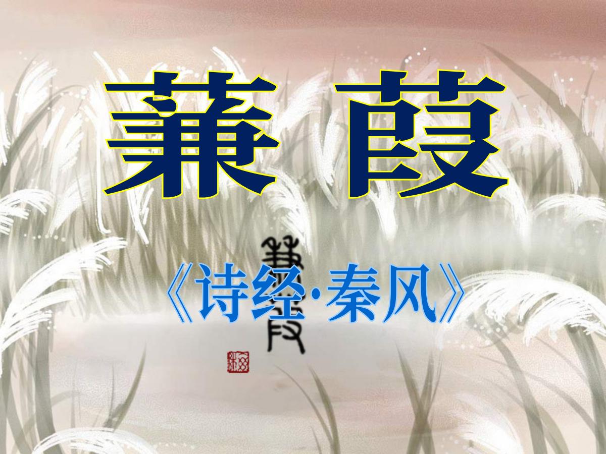 《蒹葭》PPT课件
