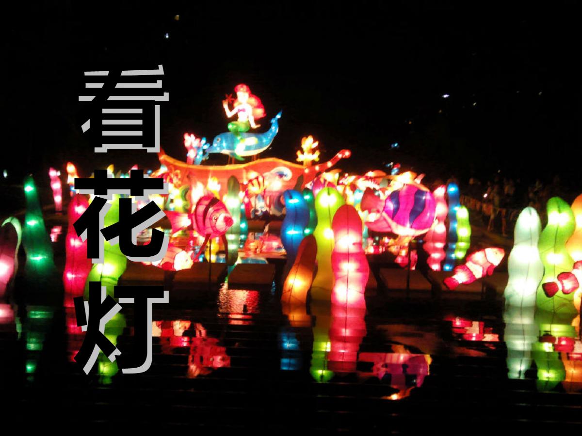 《看花灯》PPT课件