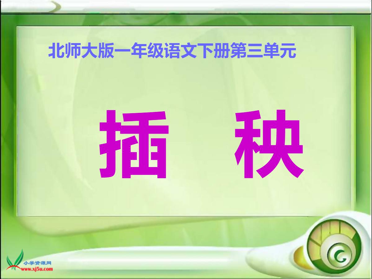 《插秧》PPT课件2