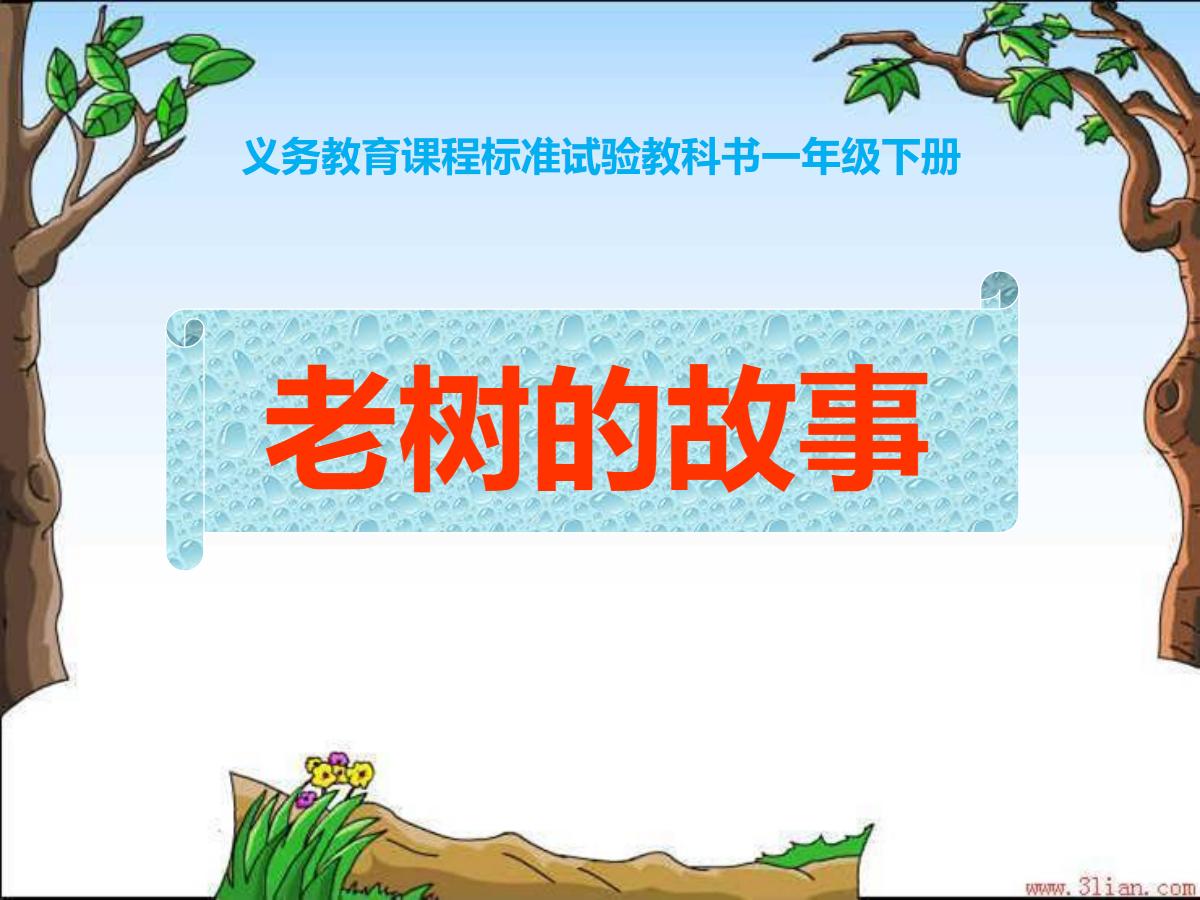 《老树的故事》PPT课件