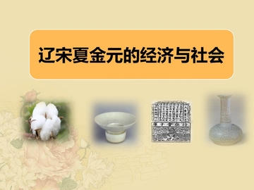 《辽宋夏金元的经济与社会》PPT优秀课件下载