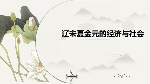 《辽宋夏金元的经济与社会》PPT精品教学课件