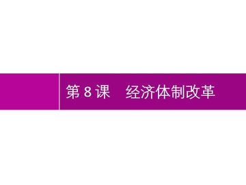 《经济体制改革》PPT优质课件