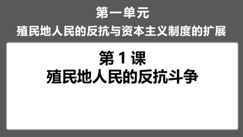 《殖民地人民的反抗斗争》PPT优质课件