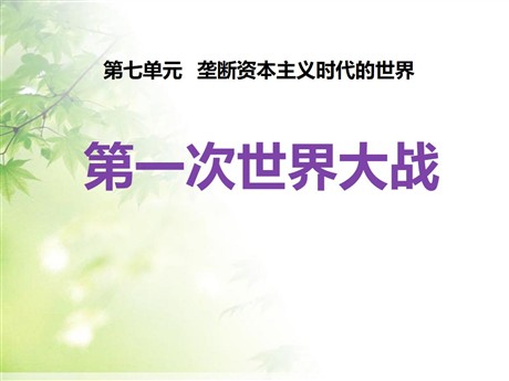 《第一次世界大战》垄断资本主义时代的世界PPT课件5