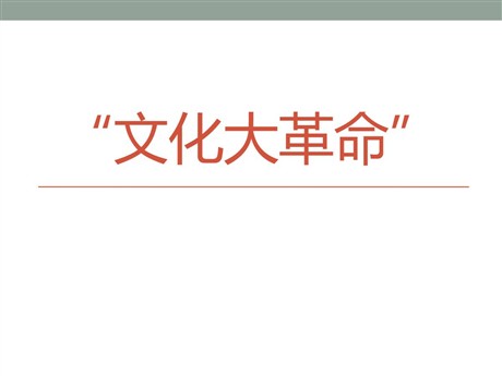 《“文化大革命”》社会主义道路的探索PPT课件
