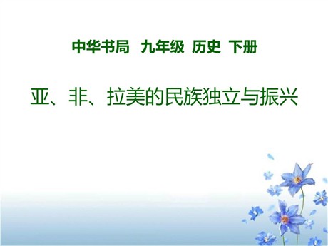 《亚、非、拉美的民族独立与振兴》两极格局下的世界PPT课件2