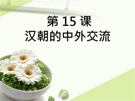 《汉朝的中外交流》秦汉时期PPT课件2