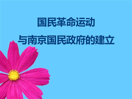 《国民革命运动与南京国民政府的建立》新民主主义革命的兴起PPT课件2