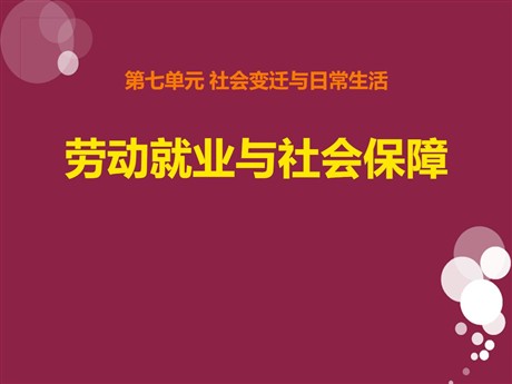 《劳动就业与社会保障》社会变迁与日常生活PPT课件