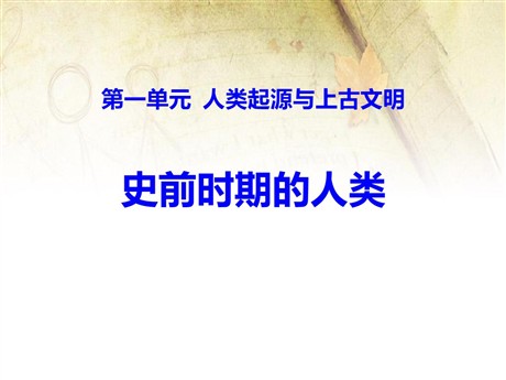 《史前时期的人类》人类起源与上古文明PPT课件3