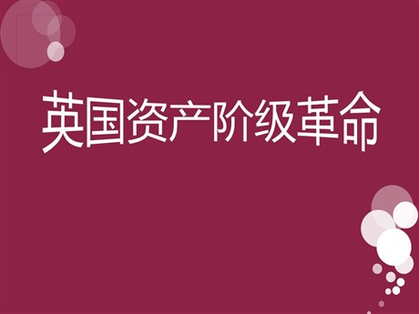 《英国资产阶级革命》欧美主要国家的社会巨变PPT课件3