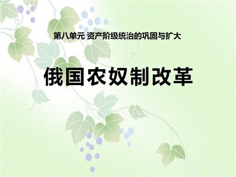 《俄国农奴制改革》资产阶级统治的巩固与扩大PPT课件5