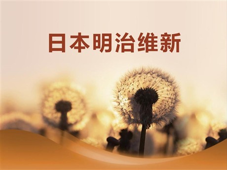 《日本明治维新》资产阶级统治的巩固与扩大PPT课件4