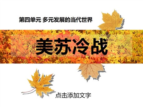 《美苏冷战》多元发展的当代世界PPT课件4