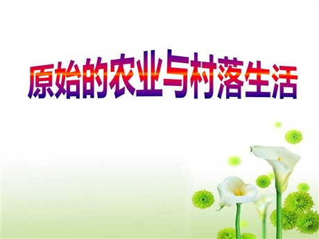 《原始农业与村落生活》史前时代PPT课件3