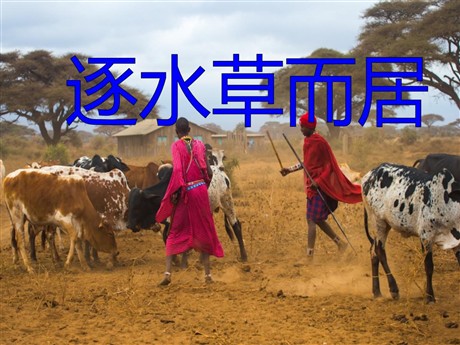 《逐水草而居》各具特色的区域生活PPT