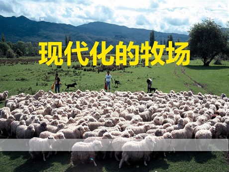 《现代化的牧场》各具特色的区域生活PPT课件