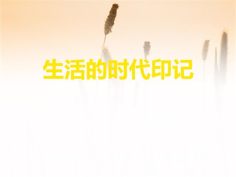 《生活的时代印记》生活的变化PPT课件