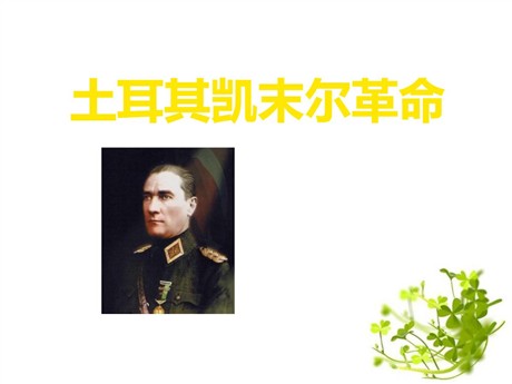 《土耳其凯末尔革命》开辟新的发展道路PPT课件