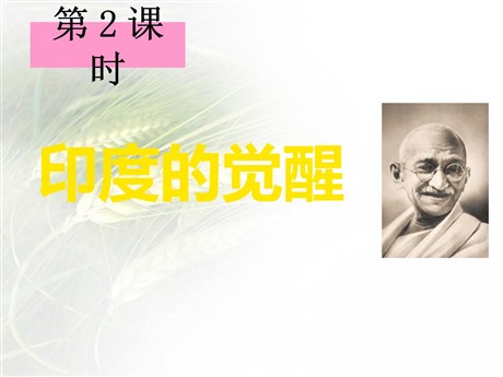 《印度的觉醒》开辟新的发展道路PPT