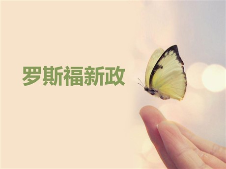 《罗斯福新政》开辟新的发展道路PPT