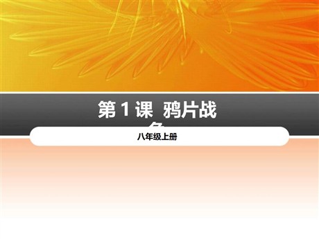 《鸦片战争》PPT课件