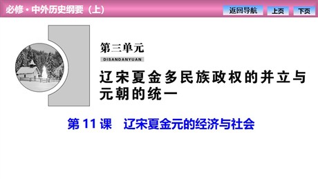 《辽宋夏金元的经济与社会》PPT免费课件