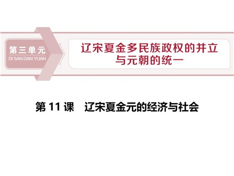 《辽宋夏金元的经济与社会》PPT免费课件下载
