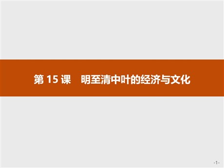 《明至清中叶的经济与文化》PPT精品课件