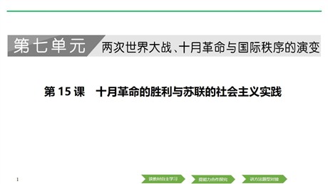 《十月革命的胜利与苏联的社会主义实践》PPT课件下载
