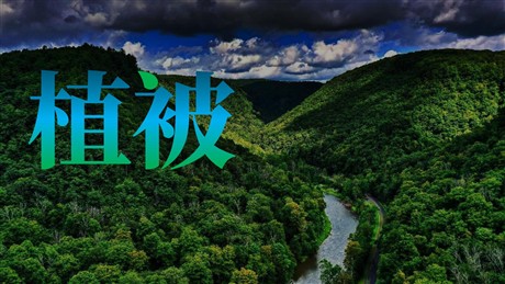 《植被》植被与土壤PPT课件下载