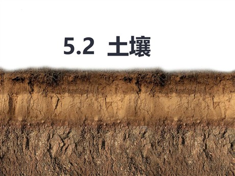 《土壤》植被与土壤PPT教学课件