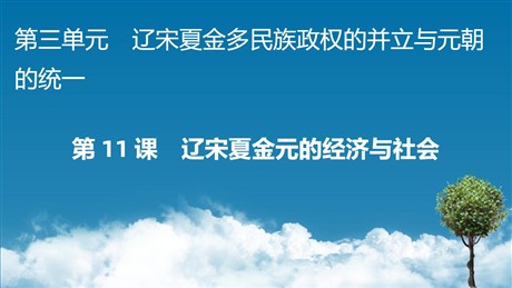 《辽宋夏金元的经济与社会》PPT优秀教学课件