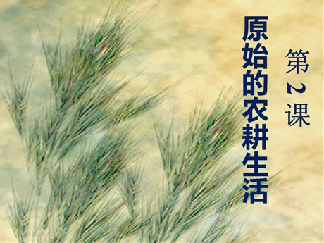《原始的农耕生活》中华文明的起源PPT课件2